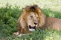 Tanzania 2006