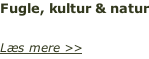 Fugle, kultur & natur 20. - 23. oktober 2018 Læs mere >>