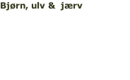 Bjørn, ulv &  jærv Oplev Skandinaviens 3 store  rovdyr fra skjul i den finske  vildmark. Individuelle afgange Læs mere >>