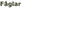 Fåglar   17-25 november 2018 Läs mere >>
