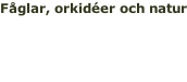 Fåglar, orkidéer och natur 22 - 29 maj >>