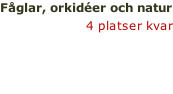 Fåglar, orkidéer och natur 5 -11 juni >> 4 platser kvar