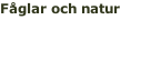 Fåglar och natur 28 maj - 4 juni 2016 Läs mere >>