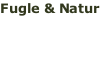 Fugle & Natur   28. maj - 4. Juni  Læs mere >>